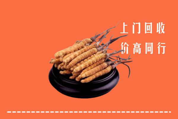 高价求购：平阳县回收散虫草