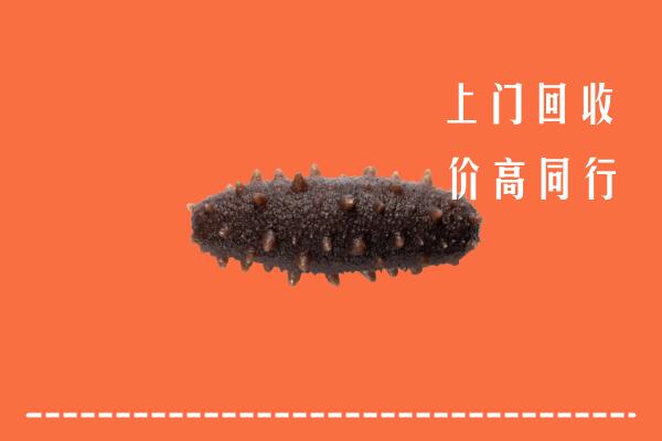 高价求购：平阳县回收海参