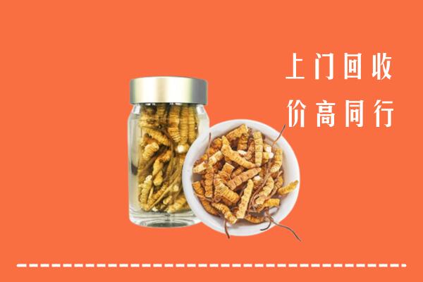 平阳县回收冬虫夏草