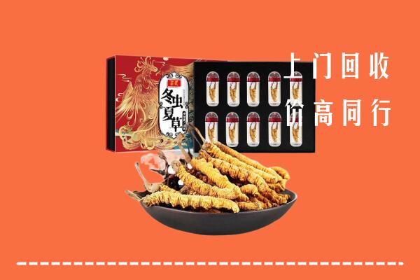 平阳县回收虫草